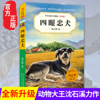 四眼忠犬 中外动物小说精品升级版 动物小说大王沈石溪等著 9-12岁儿童文学读物三四五六年级小学生课