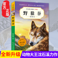 野狼谷 沈石溪中外动物小说精品升级版 9-12岁儿童文学励志动物成长故事 三四五六年级小学生课外阅读