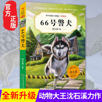 66号警犬 中外动物小说精品升级版 动物小说大王沈石溪等著 9-12岁儿童文学读物三四五六年级小学生