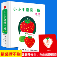 小小手指摸一摸蔬果0-1-3-4-5-6周岁婴儿宝宝感知触觉训练书 早教感官刺激触摸认知书凹凸摸摸3