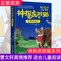 神探虎斑猫6 古堡的诅咒 侦探冒险悬疑推理破案故事文学经典动物小说沈石溪6-8-12岁三四五六年