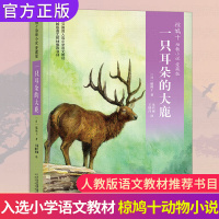 一只耳朵的大鹿 椋鸠十动物小说爱藏本四年级上册课外书必读 8-10岁小学生三五六课外阅读书籍 日本作