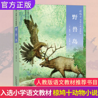 野兽岛 四年级上册课外书必读椋鸠十动物小说爱藏本 8-10岁小学生三五六课外阅读书籍 日本作家书籍畅