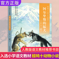 阿尔卑斯的猛犬 椋鸠十动物小说爱藏本四年级上册课外书必读 8-10岁小学生三五六课外阅读书籍 日本作