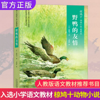 野鸭的友情 四年级上册课外书必读 椋鸠十动物小说爱藏本8-9-10岁小学生课外阅读书籍 日本作家书籍