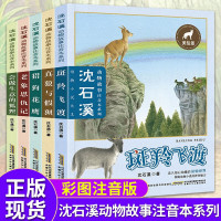 动物大王沈石溪动物故事注音本系列全套5册 斑羚飞渡正版 一二三年级小学生课外阅读书籍一年级带拼音