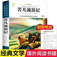 苦儿流浪记四年级书正版小学生课外阅读书籍书儿童书籍8-9-12岁名著六五三年级课外书必读物图书