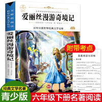 爱丽丝漫梦游奇境记原著正版中小学生课外阅读书籍三四五六年级老师初中生必读7-8-9-10-12岁