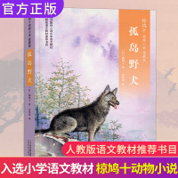 正版 孤岛野犬 四年级上册课外书必读 椋鸠十动物小说爱藏本 8-10岁小学生三五六课外阅读书籍 日本