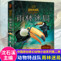 动物特战队 雨林迷局 沈石溪动物小说全集正版 小学生课外阅读书籍三四五六年级课外书必读10-15岁儿