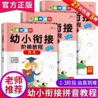 拼音学习教材 学前班拼音 幼小衔接阶梯教程3-4-5-6-7岁汉语拼音启蒙教材幼儿园早教书籍拼音大全