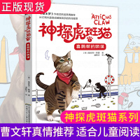神探虎斑猫1 喜鹊帮的谋 侦探冒险悬疑推理破案故事文学经典动物小说沈石溪6-12岁三四五六年级