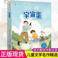 冰波儿童文学名作精选 宇宙蛋 少儿必读读物10-12-15岁故事书书 班主任课外阅读书籍