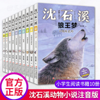 沈石溪动物小说全集注音版经典10册小学生必读课外书籍一二三年级阅读书籍 与狗熊比举重+绝境重生+