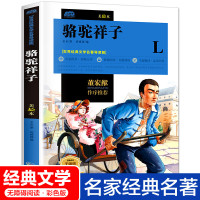 骆驼祥子老舍著 文学书正版指定阅读丛书无障碍经典名读物四五六年级小学生图书课外书6-12周岁儿童故事