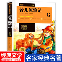 苦儿流浪记正版 名著小学生课外书必读三四五六年级4-6带真题训练语文文学书小学老师书目儿童故事书
