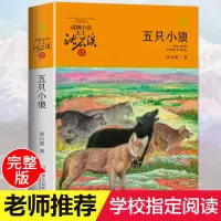 动物小说大王沈石溪品藏书狼王梦系 五只小狼 沈石溪继狼王梦后新作 青少年版儿童文学三四五六年级必读儿
