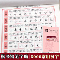 中小学生楷书正版田英章字帖5000常用汉字钢笔字贴初学者练字帖正楷描红临摹本钢笔字帖速成初学者练