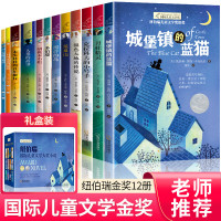 正版纽伯瑞国际儿童文学奖全套12册金银奖小说系列 适合三四五六年级小学生课外阅读书籍经典必读书目 老师推荐课外书初一中学