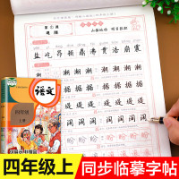 四年级上册字帖练字每日一练人教版语文同步字帖一课一练生字临摹练字帖写字课课练下人教部编版教材同步训练一课一练字帖书