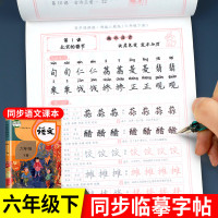 六年级下册字帖练字每日一练人教版语文同步字帖一课一练生字临摹练字帖写字课课练下人教部编版教材同步训练一课一练字帖书