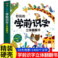 好玩的学前识字立体翻翻书儿童3d立体套装幼儿认字神器一年级上册看图启蒙用书籍绘本故事书小学卡片幼小衔接趣味学前班幼儿园1