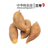 兰考红薯黄心蜜薯新鲜地瓜番薯5斤