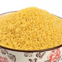 松然18年东北方正黄小米子粟米月子米熬粥营养大米孕妇婴儿400g*1袋真空包装