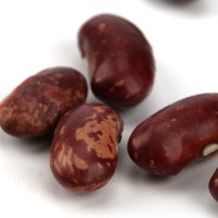 松然 18东北方正红芸豆 大饭豆红腰豆红花豆五谷杂粮豆浆煮粥 400g*1袋真空包装包邮