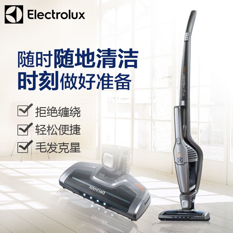 伊莱克斯（Electrolux)吸尘器ZB3113AK 立式无线吸尘器 大吸力强力锂电 家用车载吸尘器图片