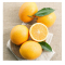 江西赣南脐橙 约3.25kg/盒 脐橙 水果脐橙 新鲜水果 水果 赣南脐橙 国产水果 本地水果 橙子