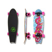 公路滑板CLANS入门old school板 刷街 初级组装整板