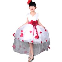 户外运动六一元旦儿童玫瑰裙公主裙演出服节目主持礼服