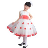 夏季儿童演出服幼儿女童表演服装韩版公主裙连衣裙童装