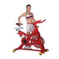 欧伦萨 运动户外健身车静音室内商用健身时尚健身训练动感单车健身车魅力动感单车