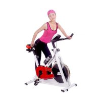 家用脚踏车 双向动感单车 健身车 运动器材