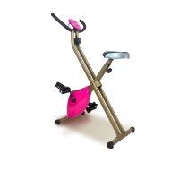 欧伦萨 运动户外健身车家用自行车健身器材 动感单车磁控健身车室内可折叠静音