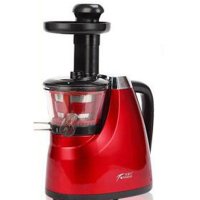 家用200W多功能原汁机慢磨低速静音 榨汁机豆浆机婴儿辅食蔬菜果汁机