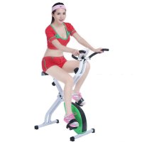 动感单车静音家用磁控车室内运动自行车健身器材 健身车