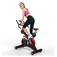 动感单车家用健身车静音室内运动健身器材健身减肥自行车