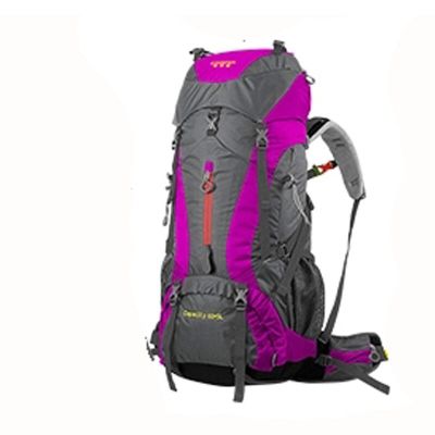 欧伦萨 户外徒步装备男女旅行背包背囊 旅游背包5105