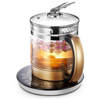 欧伦萨 户外运动养生壶全自动多功能玻璃花茶器电煎中药壶分体煮茶壶