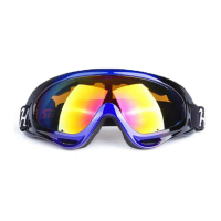 户外运动男女专业单层防雾球面镜片滑雪眼镜