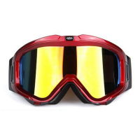 户外运动男女新款双层防雾滑雪眼镜摩托镜防风镜