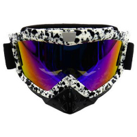 欧伦萨 户外运动挡风滑雪风镜 骑行护目镜 摩托车风镜 彩色越野头盔风镜