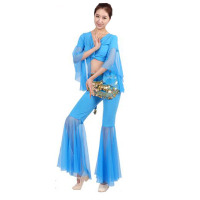 欧伦萨 肚皮舞练习套装印度舞表演出服装网纱长袖上衣裤子HWLA7