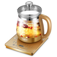 欧伦萨 养生壶多功能花茶中药壶电煎药壶煮茶壶4DH74