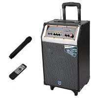 欧伦萨 声美Q101 10寸低音 1寸高音电瓶拉杆音箱 户外广场舞瑜伽音响 便携式大功率扩音器3901