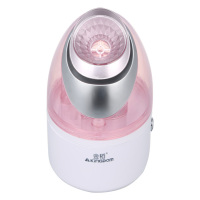 欧伦萨 2016年蒸脸器家用脸部纳米喷雾美容补水仪加湿器9X33S