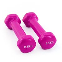 欧伦萨 运动健身训练小巧女士哑铃家庭健身环保儿童健身器材浸塑彩色哑铃DI47G
